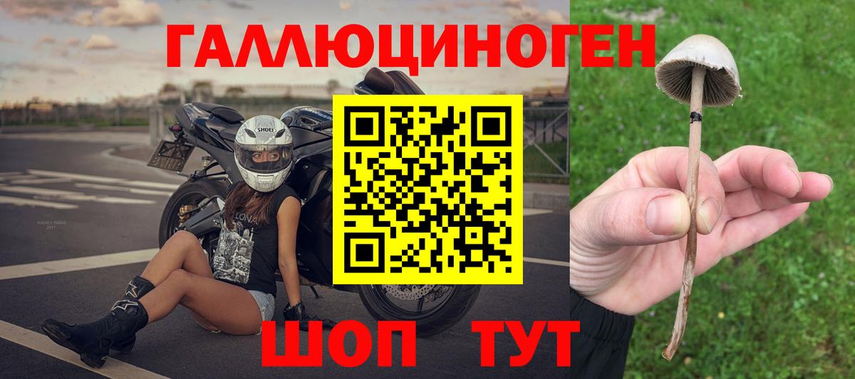 Псилоцибиновые грибы GOLDEN TEACHER  Вход с VPN  Йошкар-Ола 