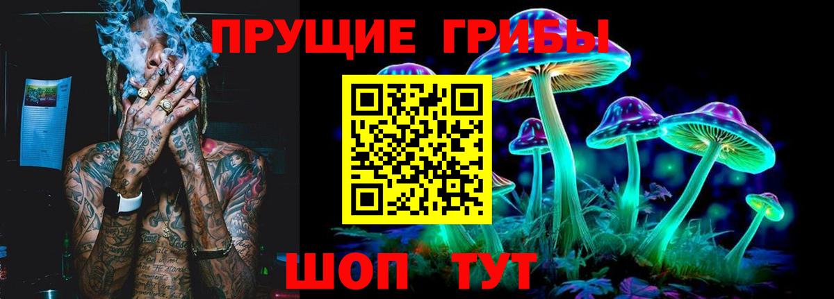 APVP Йошкар-Ола